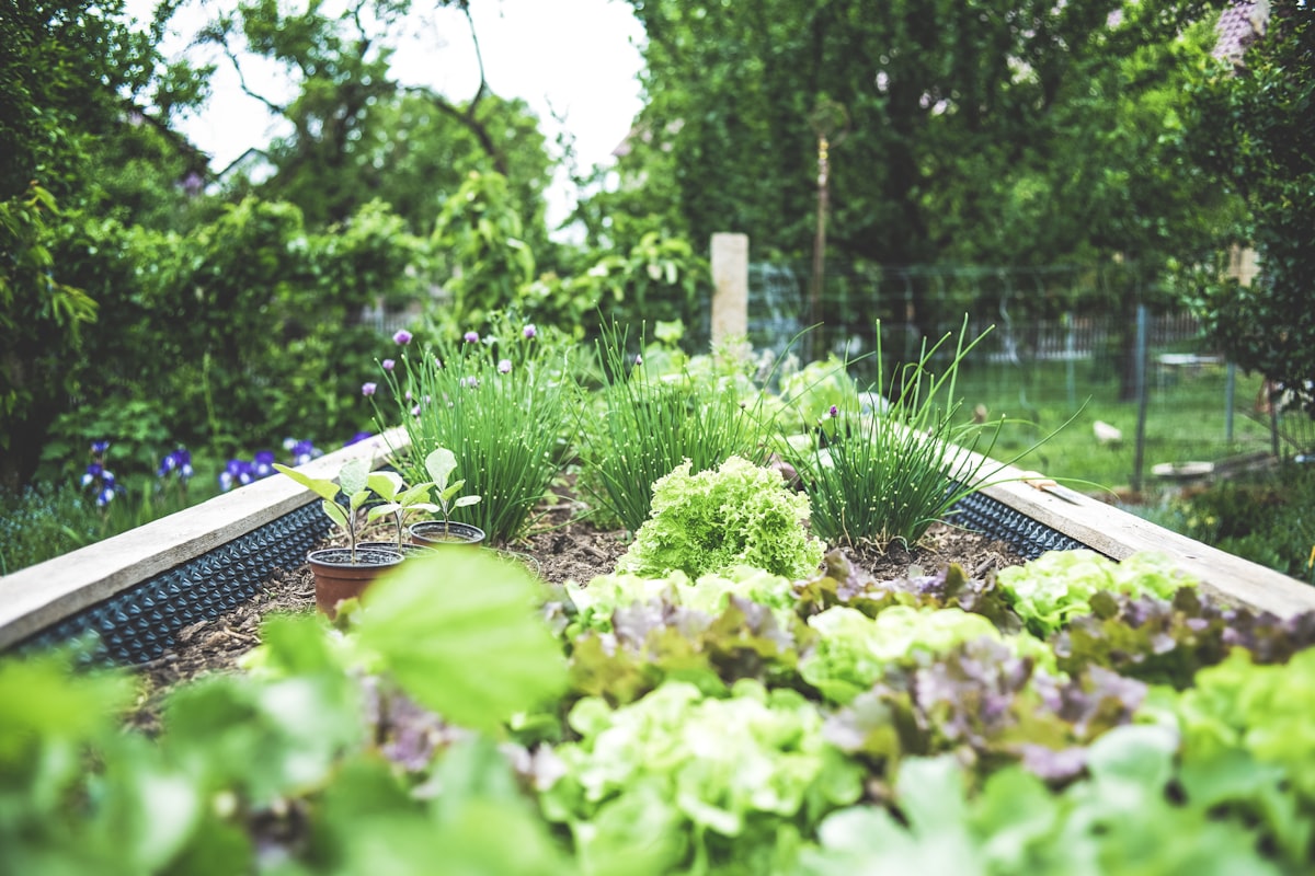 Outdoor garden feature
